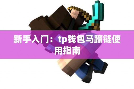 新手入门：tp钱包马蹄链使用指南