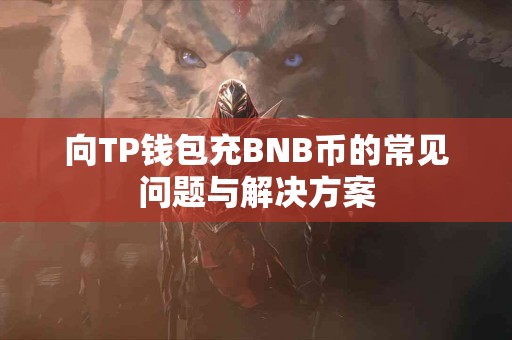 向TP钱包充BNB币的常见问题与解决方案