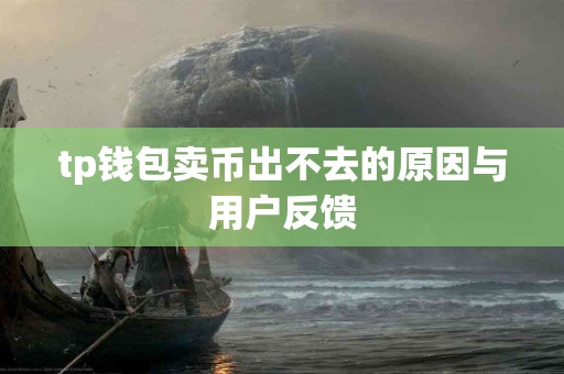 tp钱包卖币出不去的原因与用户反馈