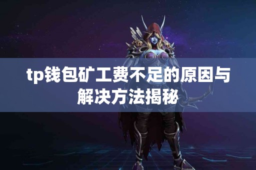 tp钱包矿工费不足的原因与解决方法揭秘