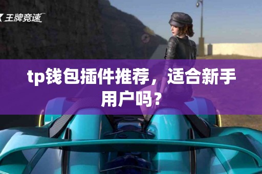 tp钱包插件推荐，适合新手用户吗？