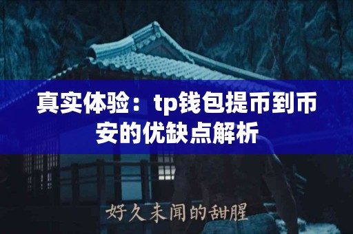真实体验：tp钱包提币到币安的优缺点解析