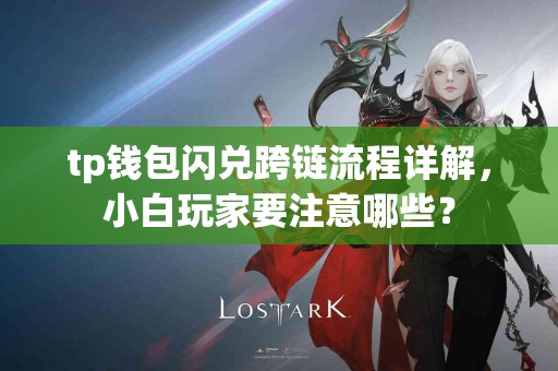 tp钱包闪兑跨链流程详解，小白玩家要注意哪些？