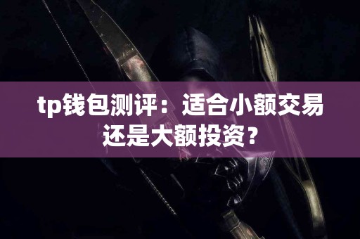 tp钱包测评：适合小额交易还是大额投资？