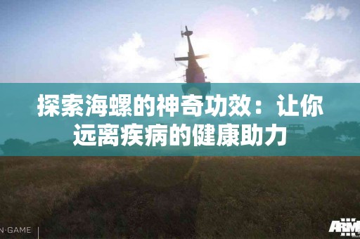 探索海螺的神奇功效：让你远离疾病的健康助力