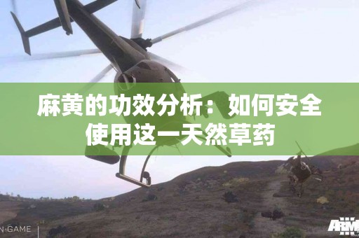 麻黄的功效分析：如何安全使用这一天然草药