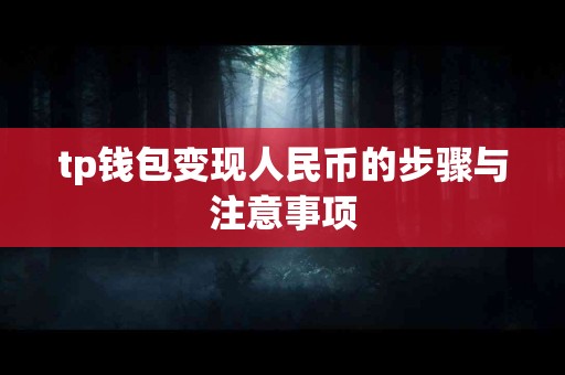 tp钱包变现人民币的步骤与注意事项