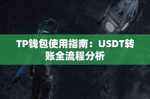 TP钱包使用指南：USDT转账全流程分析
