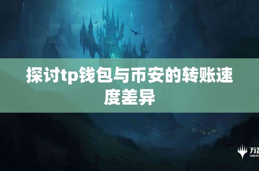 探讨tp钱包与币安的转账速度差异
