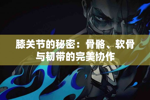 膝关节的秘密：骨骼、软骨与韧带的完美协作