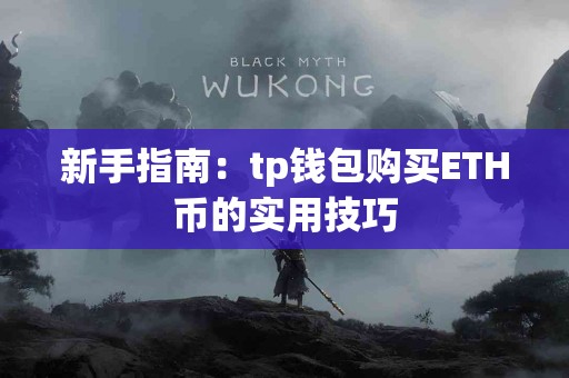 新手指南：tp钱包购买ETH币的实用技巧