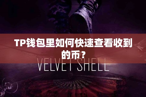 TP钱包里如何快速查看收到的币？
