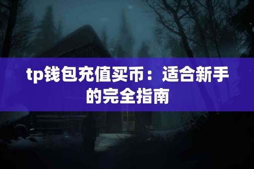 tp钱包充值买币：适合新手的完全指南