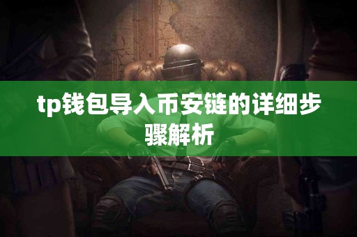 tp钱包导入币安链的详细步骤解析