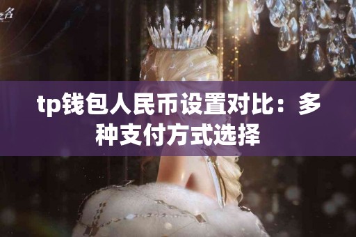 tp钱包人民币设置对比：多种支付方式选择