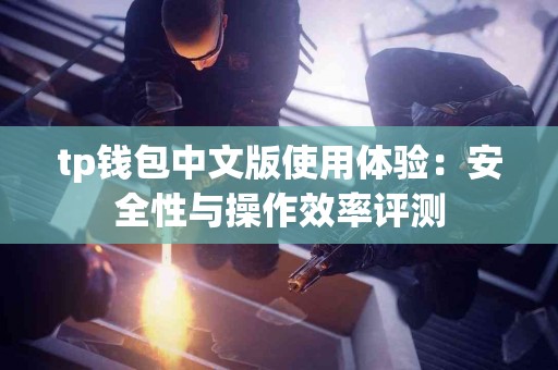 tp钱包中文版使用体验：安全性与操作效率评测