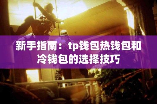 新手指南：tp钱包热钱包和冷钱包的选择技巧