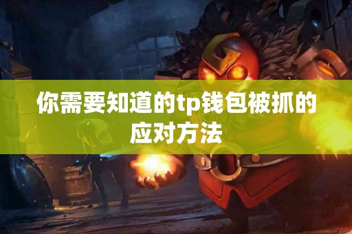 你需要知道的tp钱包被抓的应对方法