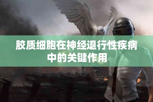 胶质细胞在神经退行性疾病中的关键作用