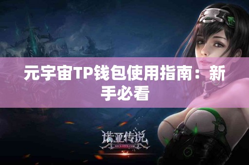 元宇宙TP钱包使用指南：新手必看
