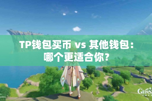 TP钱包买币 vs 其他钱包：哪个更适合你？