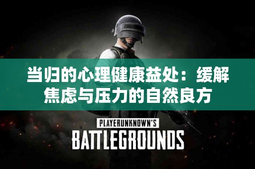 当归的心理健康益处：缓解焦虑与压力的自然良方