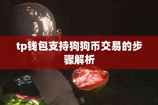 tp钱包支持狗狗币交易的步骤解析
