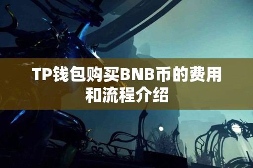 TP钱包购买BNB币的费用和流程介绍