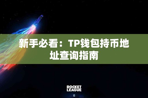 新手必看：TP钱包持币地址查询指南