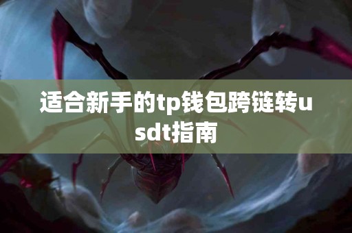 适合新手的tp钱包跨链转usdt指南