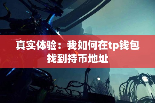 真实体验：我如何在tp钱包找到持币地址