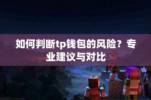 如何判断tp钱包的风险？专业建议与对比