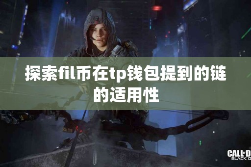 探索fil币在tp钱包提到的链的适用性