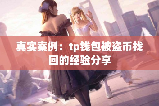真实案例：tp钱包被盗币找回的经验分享