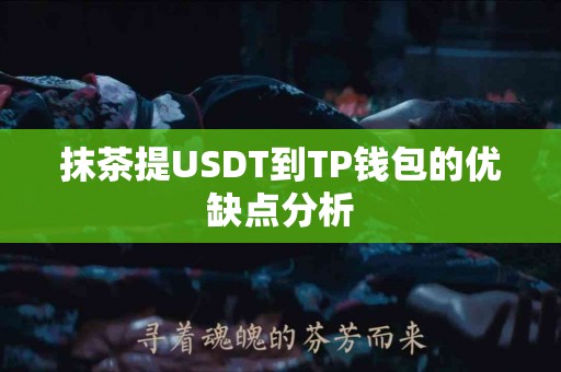 抹茶提USDT到TP钱包的优缺点分析
