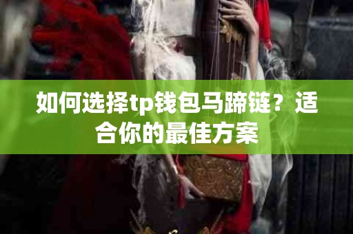如何选择tp钱包马蹄链？适合你的最佳方案
