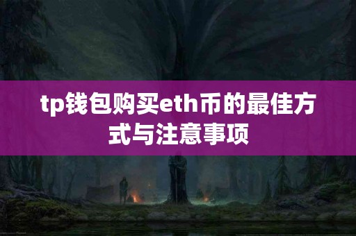 tp钱包购买eth币的最佳方式与注意事项