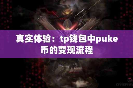 真实体验：tp钱包中puke币的变现流程