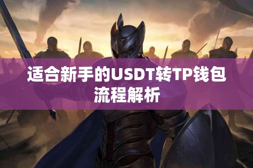适合新手的USDT转TP钱包流程解析