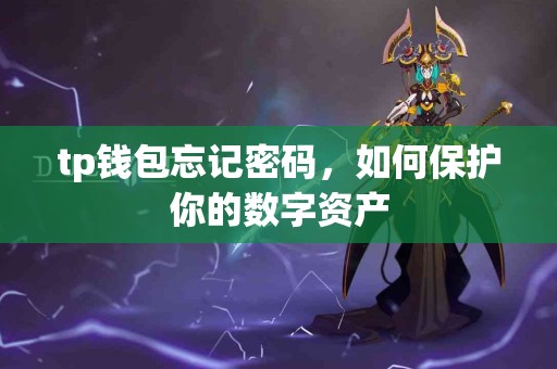 tp钱包忘记密码，如何保护你的数字资产