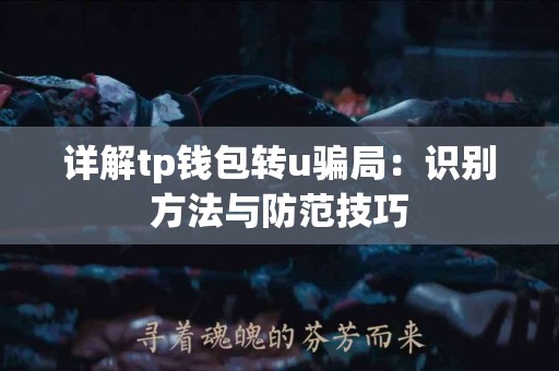 详解tp钱包转u骗局：识别方法与防范技巧