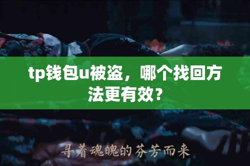tp钱包u被盗，哪个找回方法更有效？