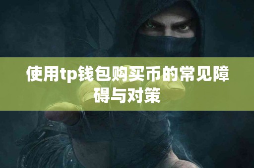 使用tp钱包购买币的常见障碍与对策