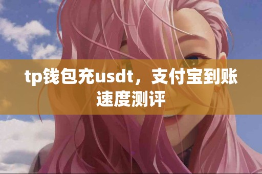 tp钱包充usdt，支付宝到账速度测评