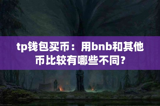 tp钱包买币：用bnb和其他币比较有哪些不同？