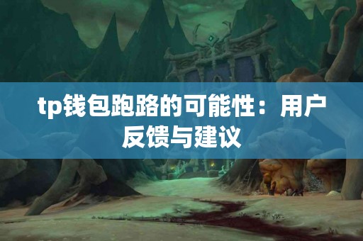 tp钱包跑路的可能性：用户反馈与建议