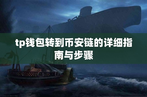 tp钱包转到币安链的详细指南与步骤