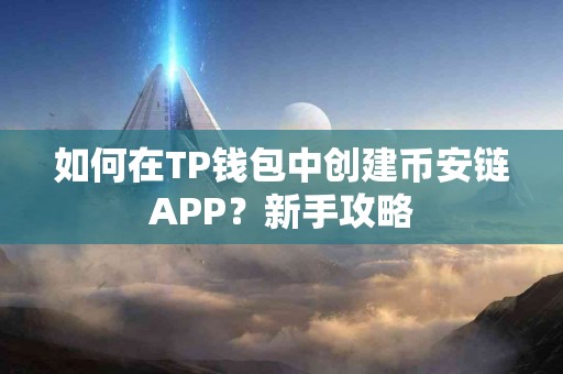 如何在TP钱包中创建币安链APP？新手攻略