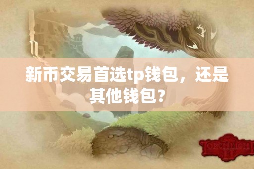 新币交易首选tp钱包，还是其他钱包？