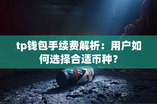 tp钱包手续费解析：用户如何选择合适币种？